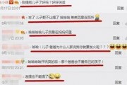 娱乐吃瓜 汪小菲微博号,娱乐吃瓜背后的故事”